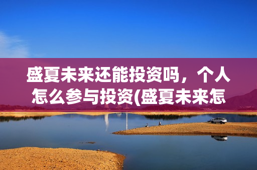盛夏未来还能投资吗，个人怎么参与投资(盛夏未来怎么投资?)
