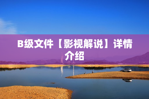 B级文件【影视解说】详情介绍