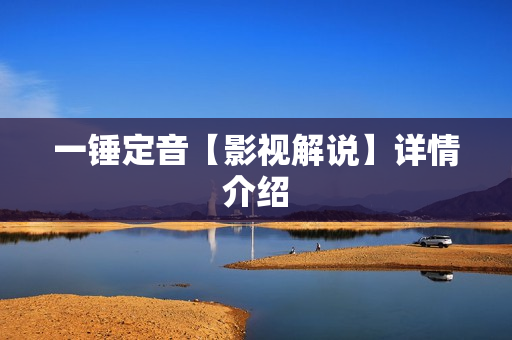 一锤定音【影视解说】详情介绍