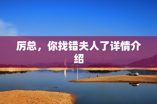 厉总，你找错夫人了详情介绍