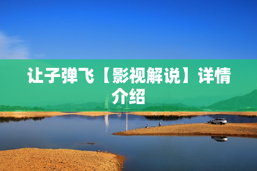 让子弹飞【影视解说】详情介绍