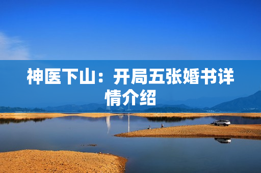 神医下山：开局五张婚书详情介绍