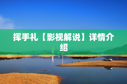 挥手礼【影视解说】详情介绍