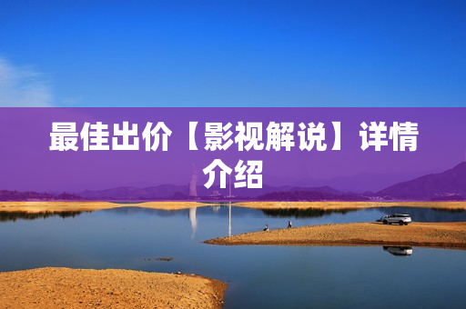 最佳出价【影视解说】详情介绍