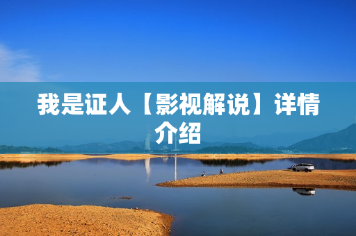 我是证人【影视解说】详情介绍