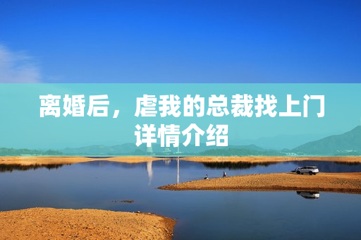 离婚后,虐我的总裁找上门详情介绍 离婚后,虐我的总裁找上门详情介绍