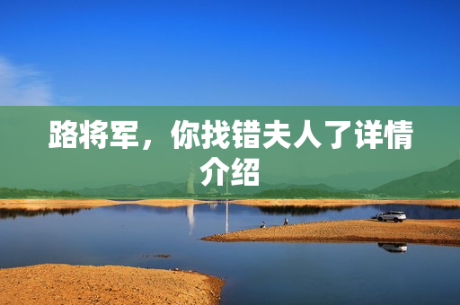 路将军,你找错夫人了详情介绍 路将军,你找错夫人了详情介绍