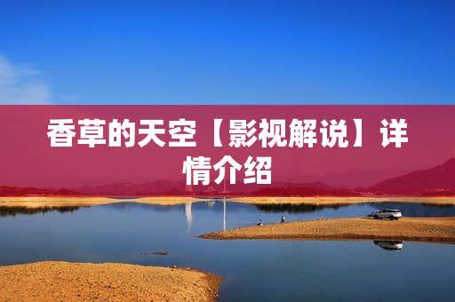 香草的天空【影视解说】详情介绍