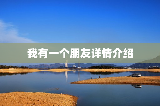 我有一个朋友详情介绍