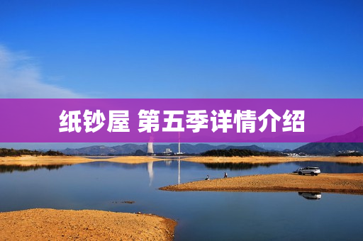 纸钞屋 第五季详情介绍
