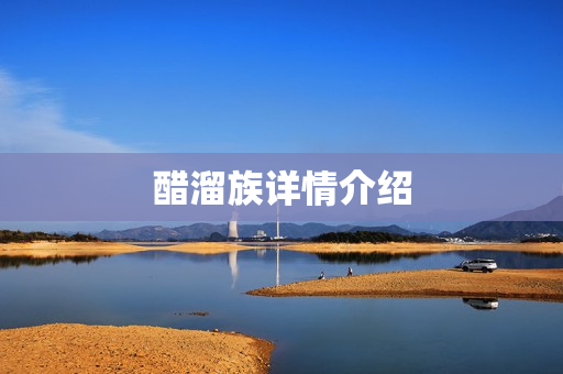 醋溜族详情介绍