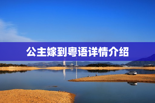 公主嫁到粤语详情介绍