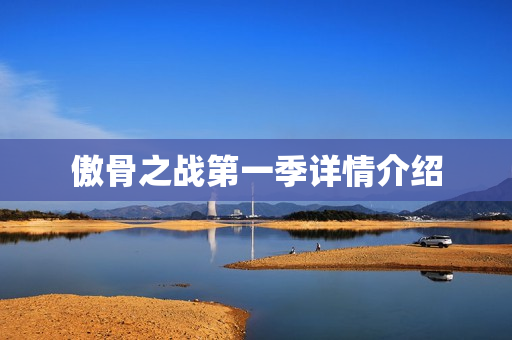 傲骨之战第一季详情介绍