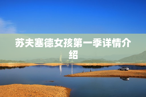 苏夫塞德女孩第一季详情介绍