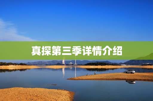 真探第三季详情介绍