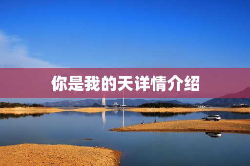 你是我的天详情介绍