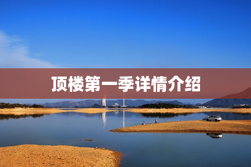 顶楼第一季详情介绍