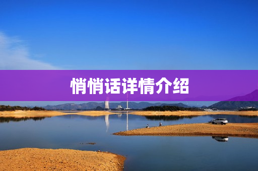 悄悄话详情介绍