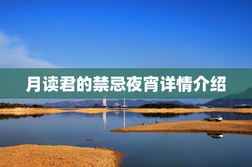 月读君的禁忌夜宵详情介绍
