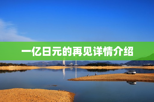 一亿日元的再见详情介绍