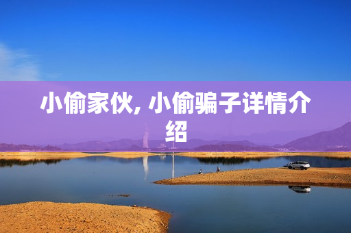 小偷家伙, 小偷骗子详情介绍