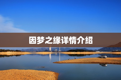 因梦之缘详情介绍