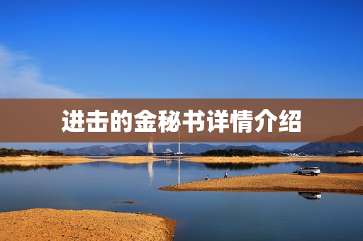 进击的金秘书详情介绍