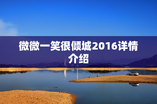 微微一笑很倾城2016详情介绍