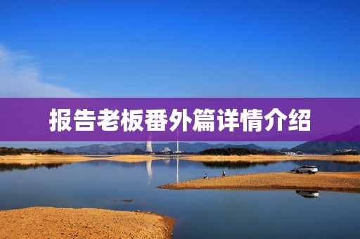 报告老板番外篇详情介绍