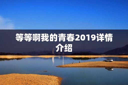 等等啊我的青春2019详情介绍