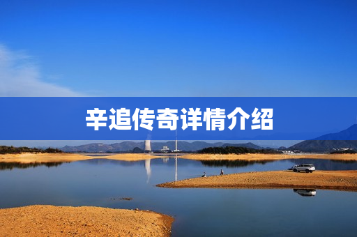 辛追传奇详情介绍
