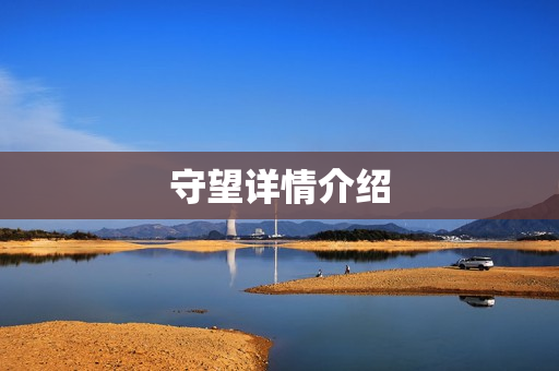 守望详情介绍