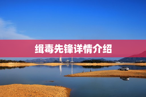 缉毒先锋详情介绍