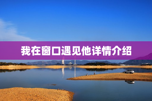 我在窗口遇见他详情介绍