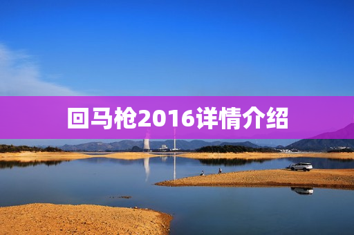 回马枪2016详情介绍