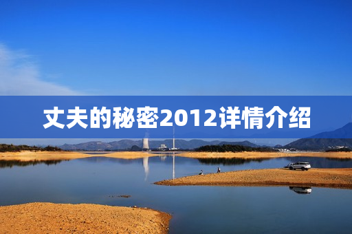 丈夫的秘密2012详情介绍