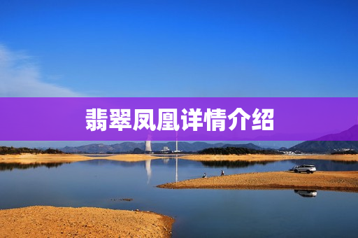 翡翠凤凰详情介绍