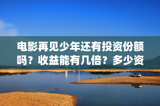 电影再见少年还有投资份额吗？收益能有几倍？多少资金能参与？(电影再见少年还能播放吗)