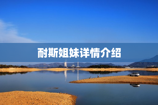 耐斯姐妹详情介绍