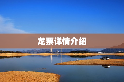 龙票详情介绍