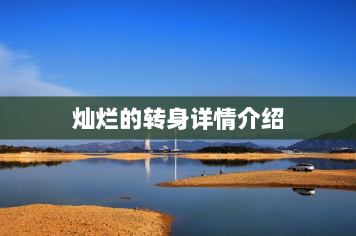 灿烂的转身详情介绍