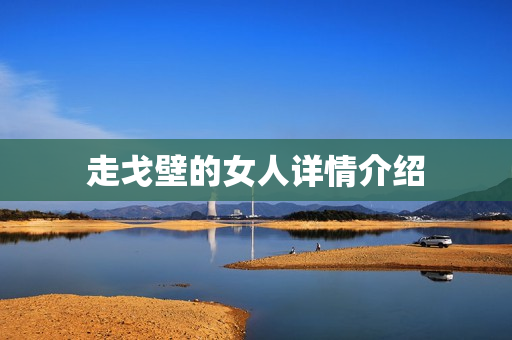走戈壁的女人详情介绍