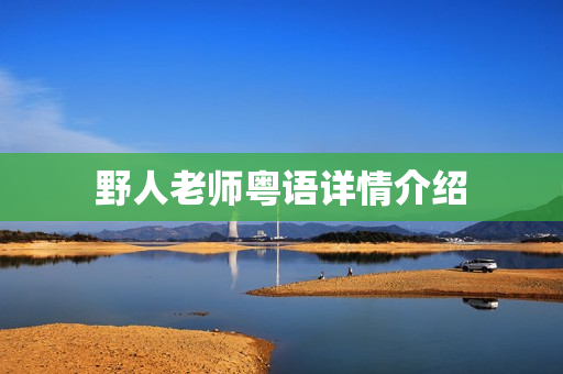 野人老师粤语详情介绍