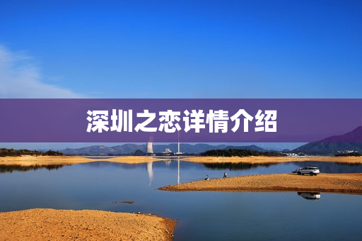深圳之恋详情介绍