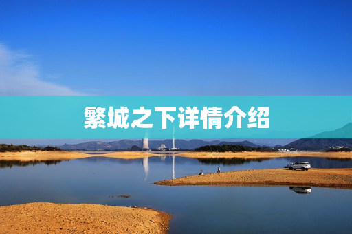 繁城之下详情介绍