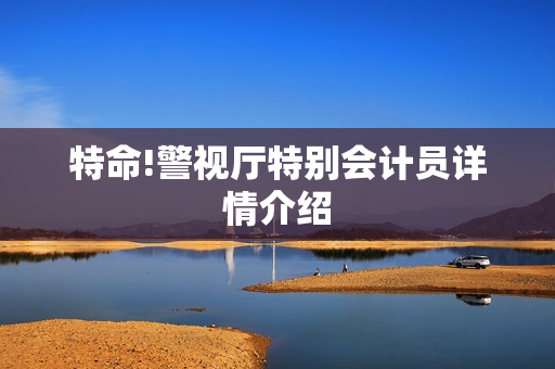 特命!警视厅特别会计员详情介绍