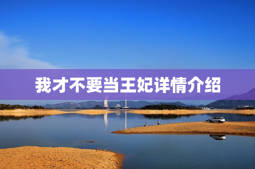 我才不要当王妃详情介绍