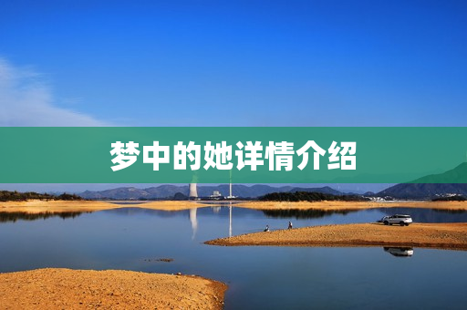 梦中的她详情介绍