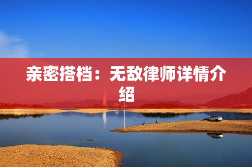 亲密搭档：无敌律师详情介绍