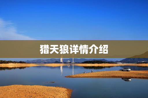 猎天狼详情介绍